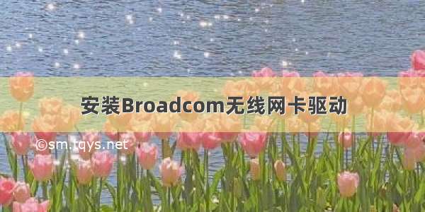 安装Broadcom无线网卡驱动