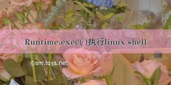 Runtime.exec()执行linux shell