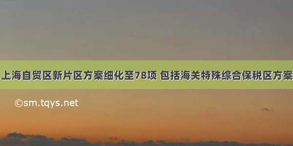 上海自贸区新片区方案细化至78项 包括海关特殊综合保税区方案