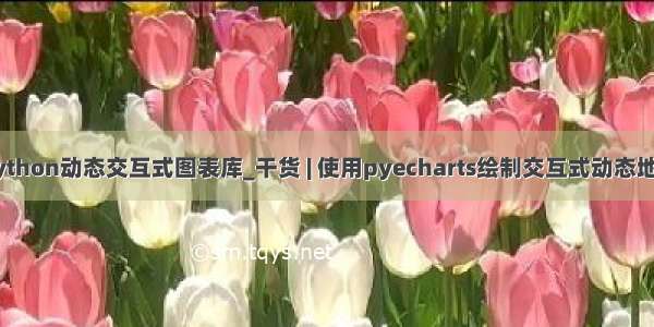 python动态交互式图表库_干货 | 使用pyecharts绘制交互式动态地图