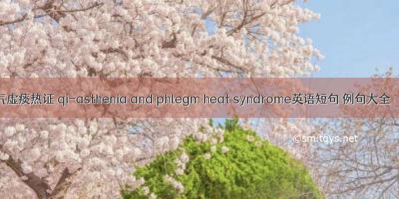 气虚痰热证 qi-asthenia and phlegm heat syndrome英语短句 例句大全