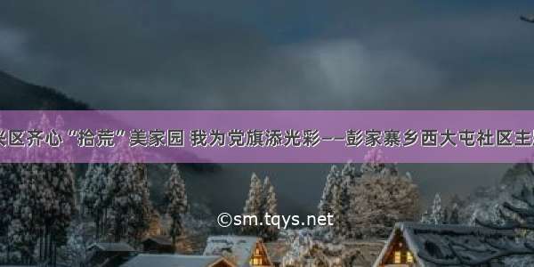 邯郸市复兴区齐心“拾荒”美家园 我为党旗添光彩——彭家寨乡西大屯社区主题党日活动