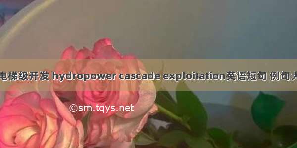 水电梯级开发 hydropower cascade exploitation英语短句 例句大全