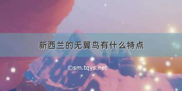 新西兰的无翼鸟有什么特点