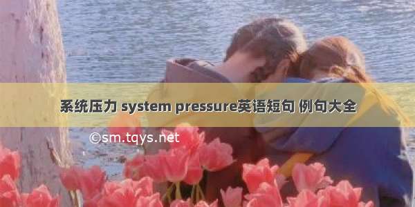 系统压力 system pressure英语短句 例句大全