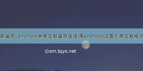 endonte 重新编号_endnote参考文献编号连续 用endnote设置引用文献格式 连续引用时