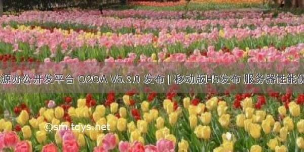 Java 开源办公开发平台 O2OA V5.3.0 发布 | 移动版H5发布 服务器性能优化升级