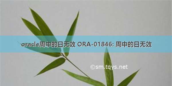 oracle周中的日无效 ORA-01846: 周中的日无效