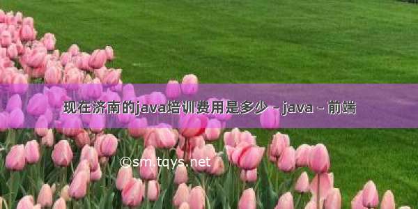 现在济南的java培训费用是多少 – java – 前端