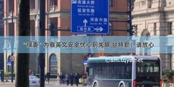 “绿委”为蔡英文安全忧心到失眠 台特勤：请放心