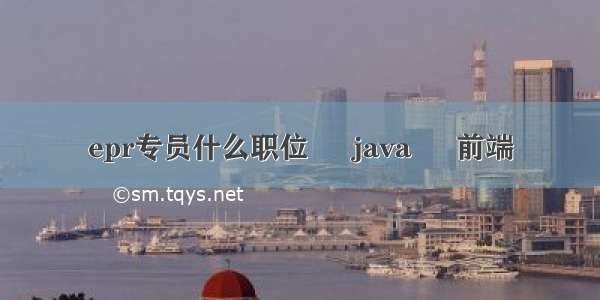 epr专员什么职位 – java – 前端