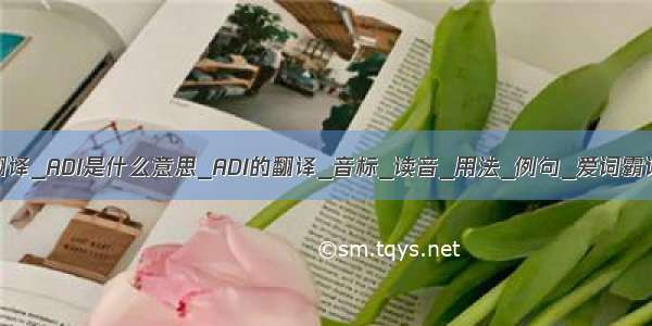 adi翻译_ADI是什么意思_ADI的翻译_音标_读音_用法_例句_爱词霸词典