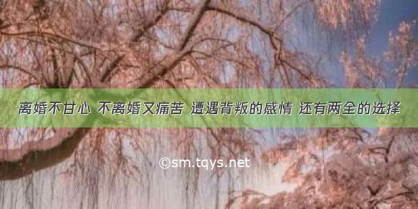 离婚不甘心 不离婚又痛苦 遭遇背叛的感情 还有两全的选择