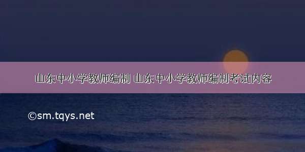 山东中小学教师编制 山东中小学教师编制考试内容