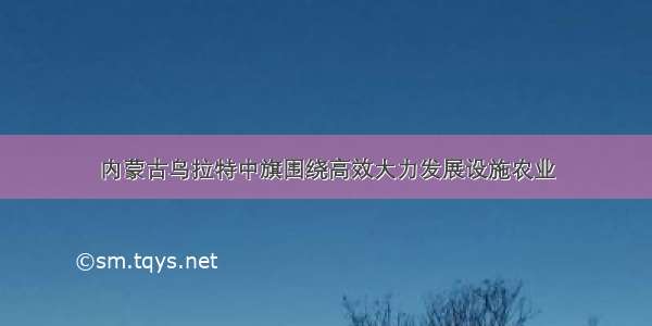 内蒙古乌拉特中旗围绕高效大力发展设施农业