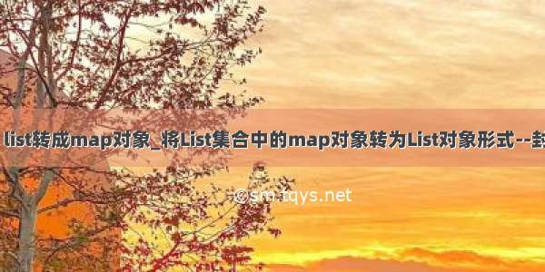 java list转成map对象_将List集合中的map对象转为List对象形式--封装类