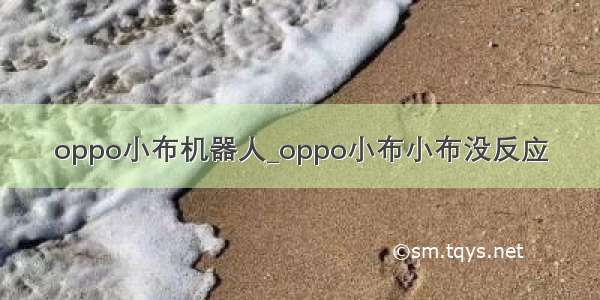 oppo小布机器人_oppo小布小布没反应