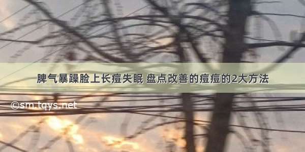 脾气暴躁脸上长痘失眠 盘点改善的痘痘的2大方法