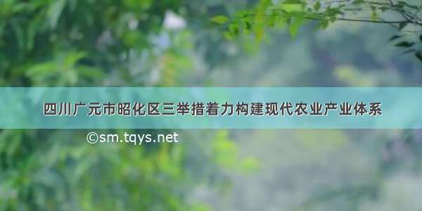 四川广元市昭化区三举措着力构建现代农业产业体系