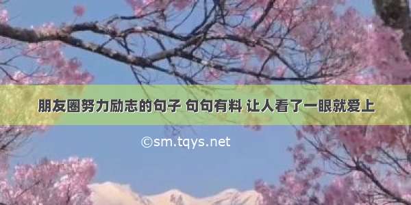 朋友圈努力励志的句子 句句有料 让人看了一眼就爱上