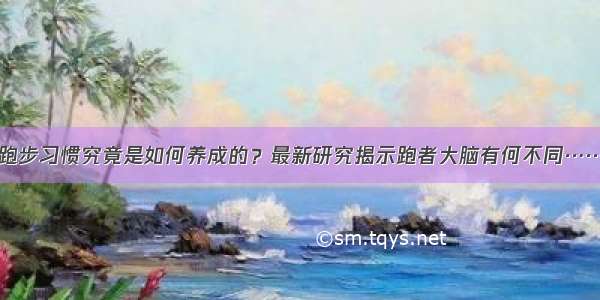 跑步习惯究竟是如何养成的？最新研究揭示跑者大脑有何不同……