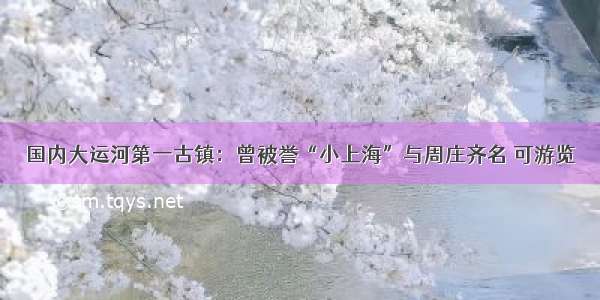 国内大运河第一古镇：曾被誉“小上海”与周庄齐名 可游览