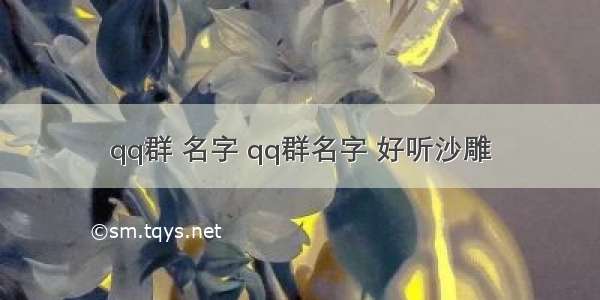 qq群 名字 qq群名字 好听沙雕