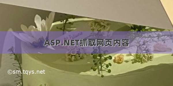 ASP.NET抓取网页内容