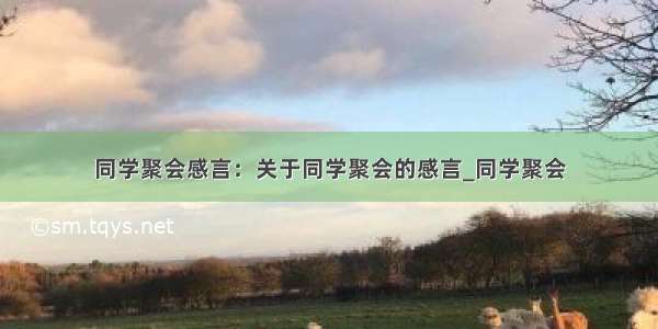 同学聚会感言：关于同学聚会的感言_同学聚会