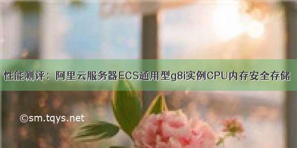 性能测评：阿里云服务器ECS通用型g8i实例CPU内存安全存储