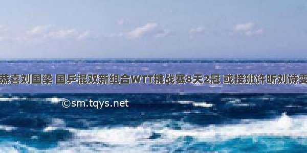 恭喜刘国梁 国乒混双新组合WTT挑战赛8天2冠 或接班许昕刘诗雯