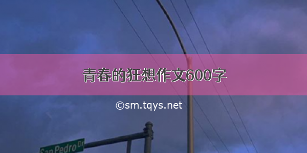 青春的狂想作文600字