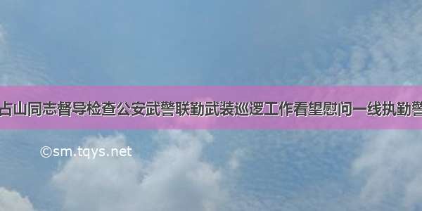 马占山同志督导检查公安武警联勤武装巡逻工作看望慰问一线执勤警力