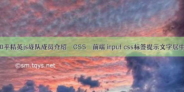 和平精英js战队成员介绍 – CSS – 前端 input css标签提示文字居中