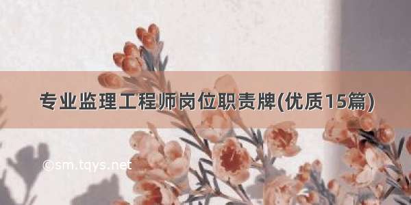 专业监理工程师岗位职责牌(优质15篇)