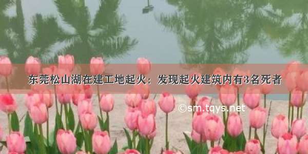 东莞松山湖在建工地起火：发现起火建筑内有3名死者