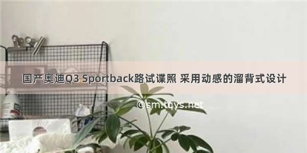 国产奥迪Q3 Sportback路试谍照 采用动感的溜背式设计