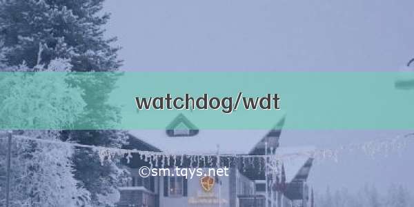 watchdog/wdt