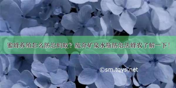 蜜蜂养殖怎么防治蚂蚁？废弃矿泉水瓶防治法蜂农了解一下！