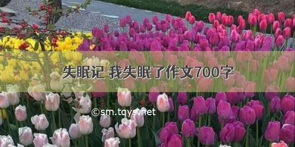 失眠记 我失眠了作文700字