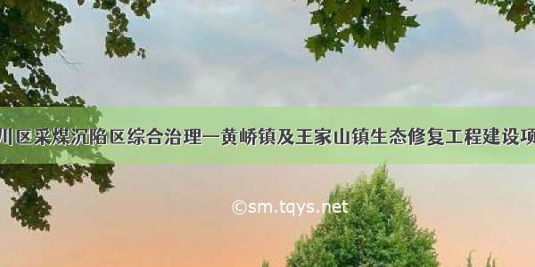 白银市平川区采煤沉陷区综合治理—黄峤镇及王家山镇生态修复工程建设项目 研讨会