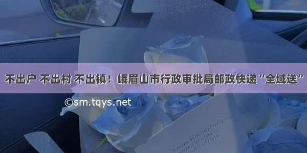 不出户 不出村 不出镇！峨眉山市行政审批局邮政快递“全域送”