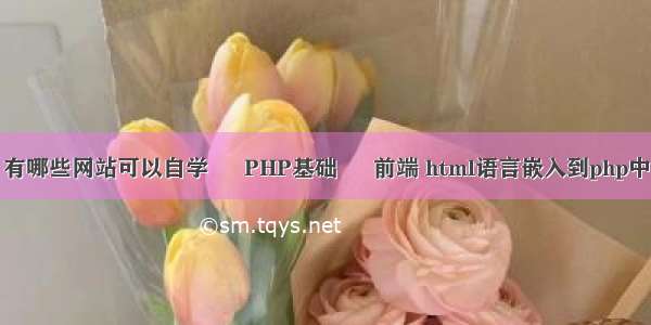 有哪些网站可以自学 – PHP基础 – 前端 html语言嵌入到php中