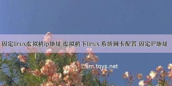 固定linux虚拟机ip地址 虚拟机下linux 系统网卡配置 固定IP地址