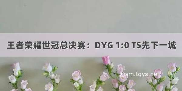 王者荣耀世冠总决赛：DYG 1:0 TS先下一城