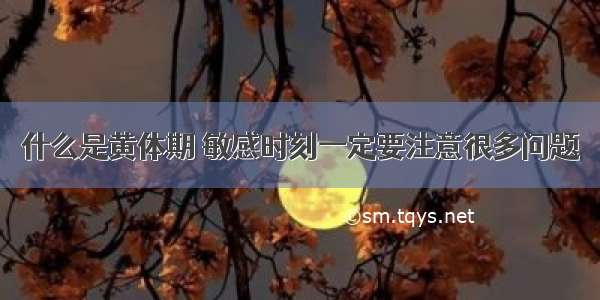 什么是黄体期 敏感时刻一定要注意很多问题