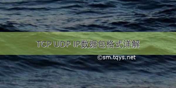 TCP UDP IP数据包格式详解
