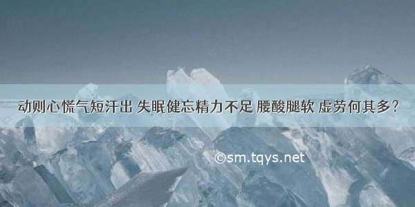 动则心慌气短汗出 失眠健忘精力不足 腰酸腿软 虚劳何其多？