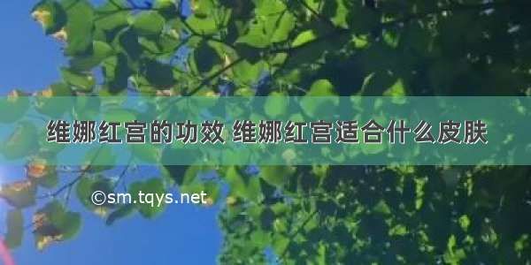 维娜红宫的功效 维娜红宫适合什么皮肤