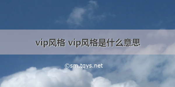 vip风格 vip风格是什么意思